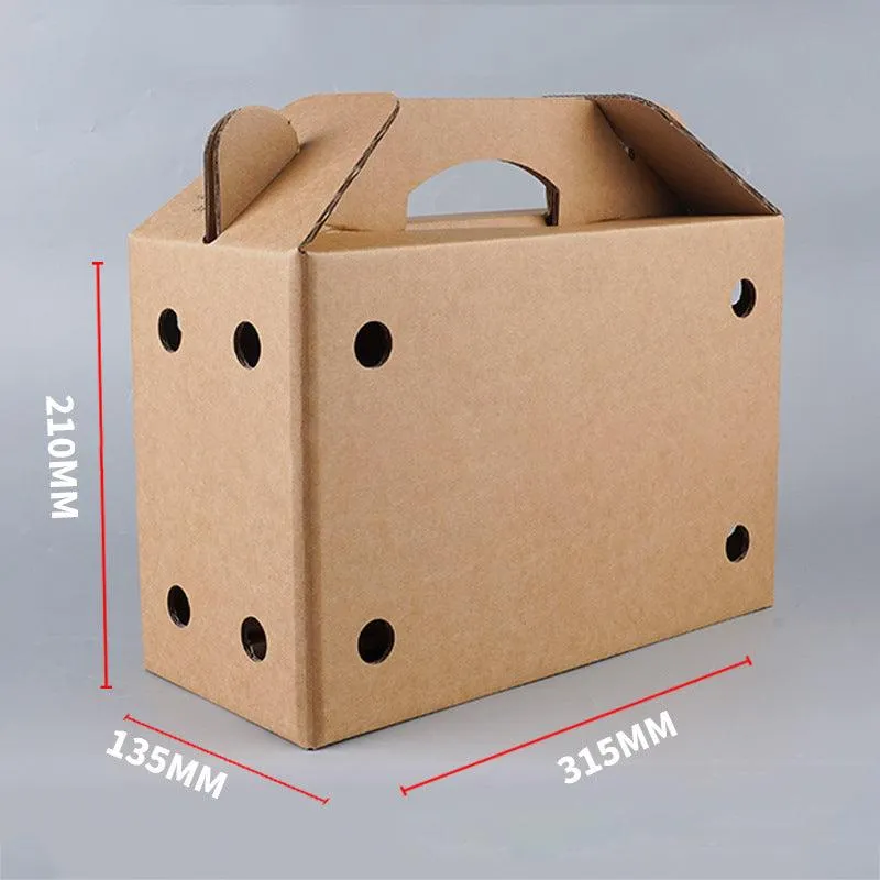 10PCS Disposable Cardboard Pet Carrier - 3 Sizes for Small Animals