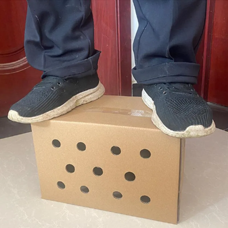 10PCS Disposable Cardboard Pet Carrier - 3 Sizes for Small Animals