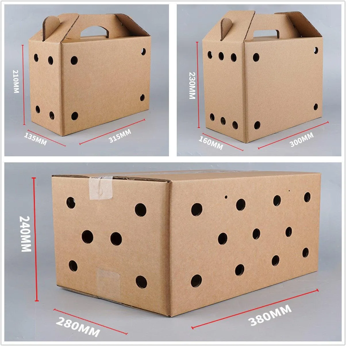 10PCS Disposable Cardboard Pet Carrier - 3 Sizes for Small Animals