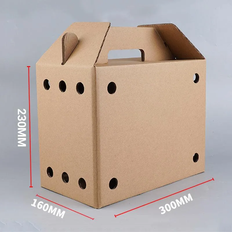 10PCS Disposable Cardboard Pet Carrier - 3 Sizes for Small Animals