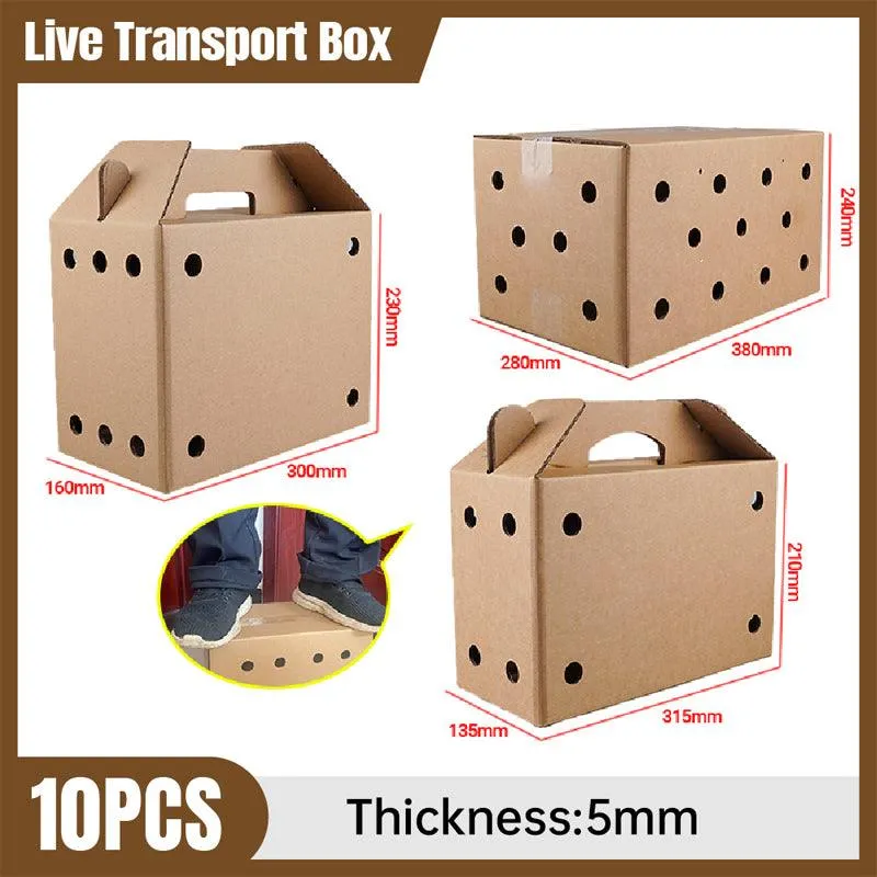 10PCS Disposable Cardboard Pet Carrier - 3 Sizes for Small Animals