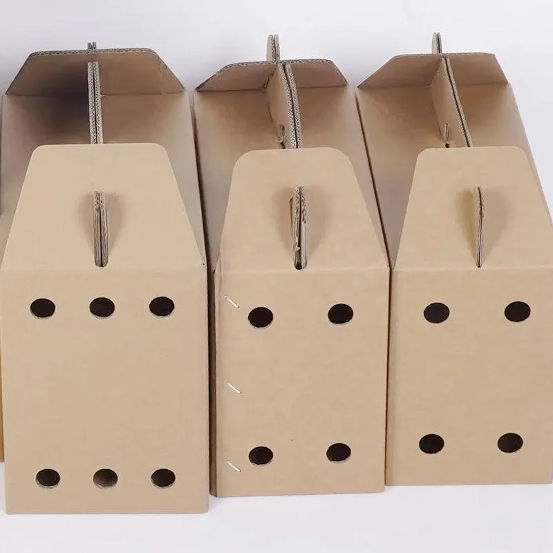 10PCS Disposable Cardboard Pet Carrier - 3 Sizes for Small Animals