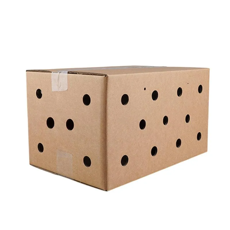 10PCS Disposable Cardboard Pet Carrier - 3 Sizes for Small Animals