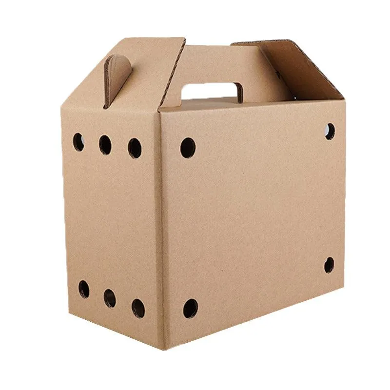 10PCS Disposable Cardboard Pet Carrier - 3 Sizes for Small Animals