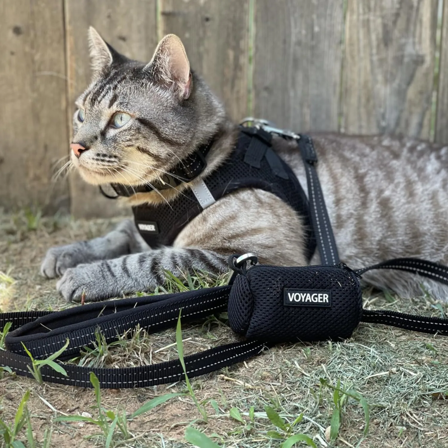 Best Pet Supplies Voyager Step-in Air Dog Harness - All Weather Mesh, Reflective, No Pull Harness for Small, Medium Dogs, Cats - Secure with Hook & Loop Fastener, Buckle, Double D-Rings - Black, M