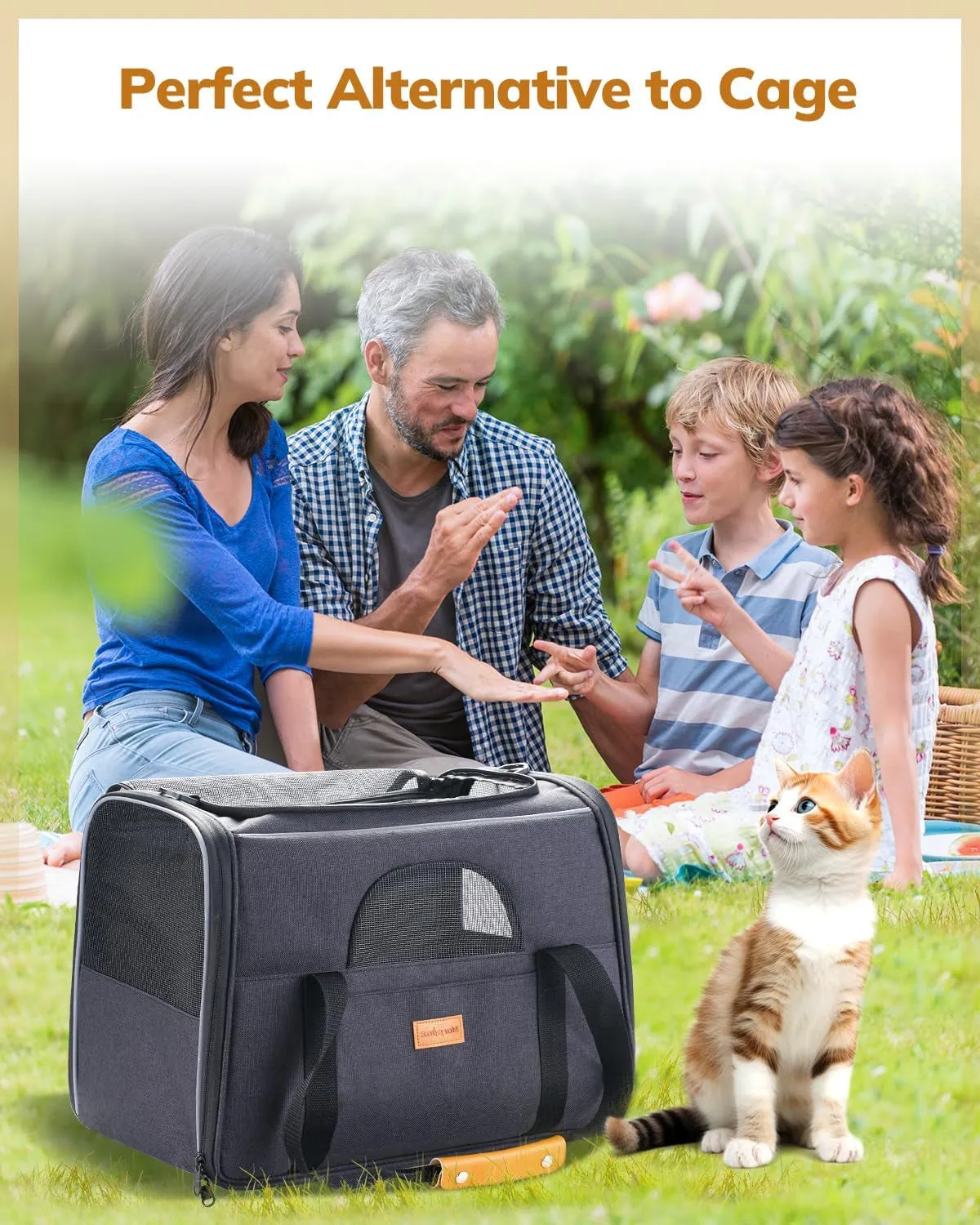 Carrier Sided. Cat - Bold Great savings Soft