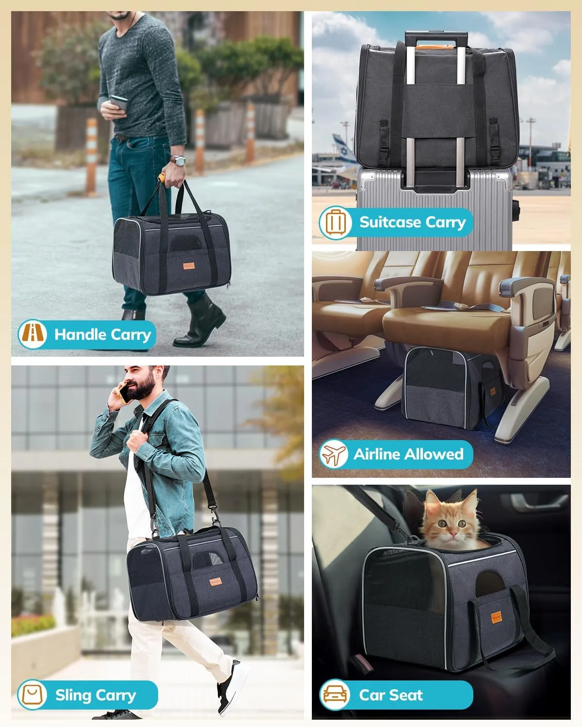 Carrier Sided. Cat - Bold Great savings Soft