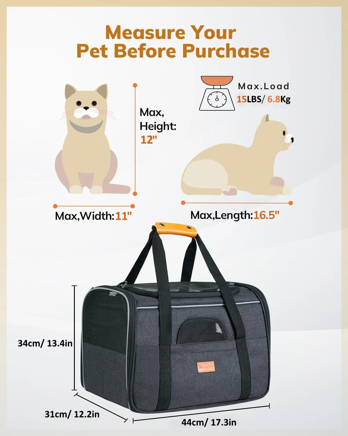 Carrier Sided. Cat - Bold Great savings Soft