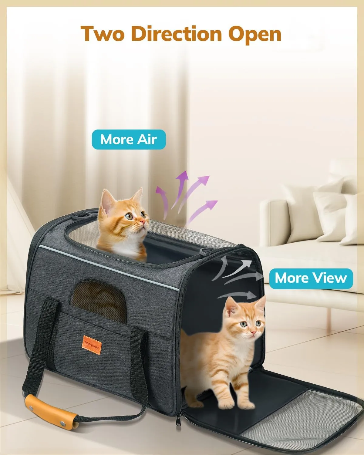 Carrier Sided. Cat - Bold Great savings Soft
