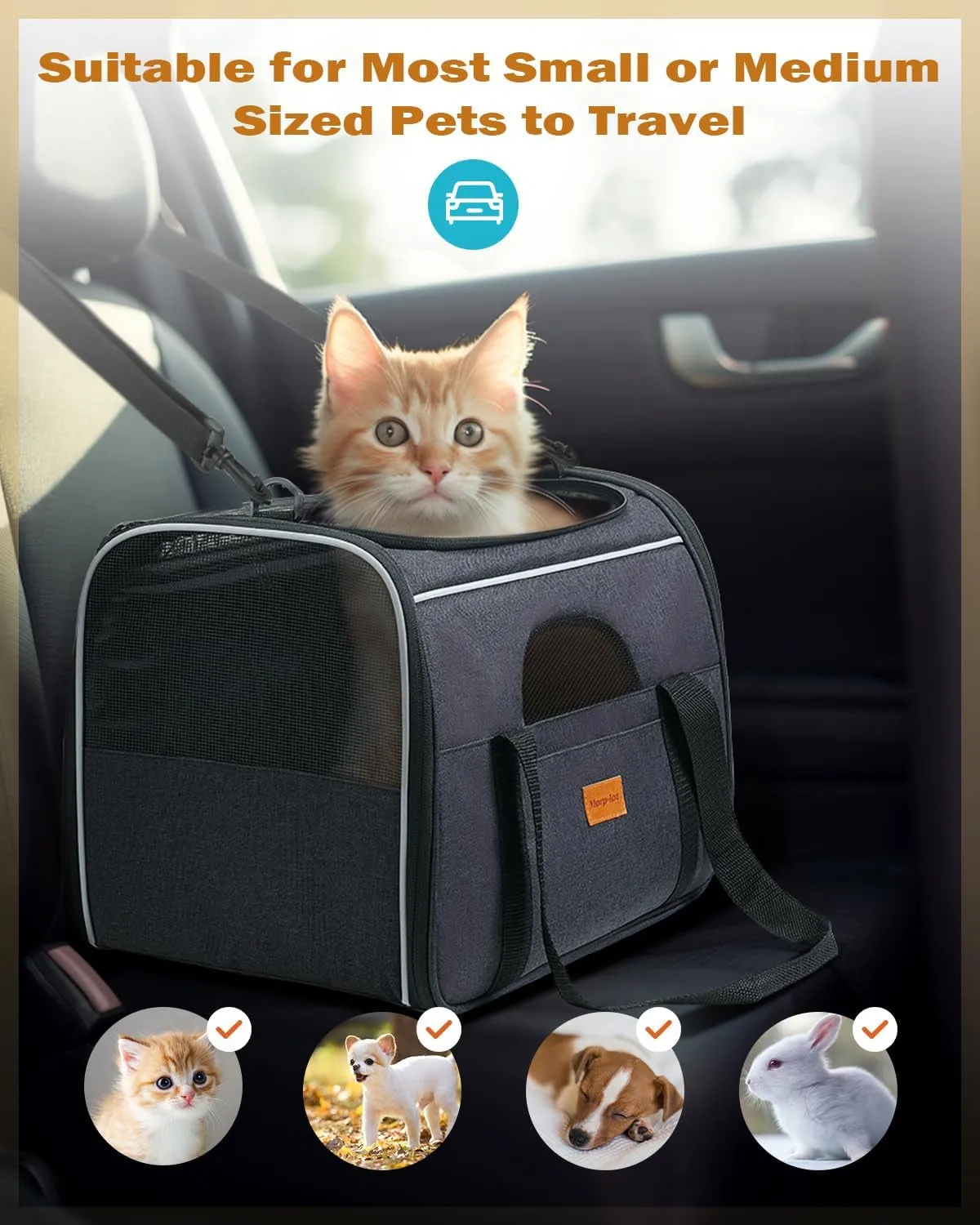 Carrier Sided. Cat - Bold Great savings Soft