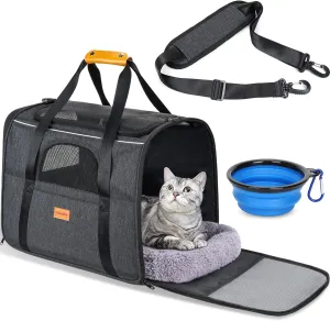 Carrier Sided. Cat - Bold Great savings Soft