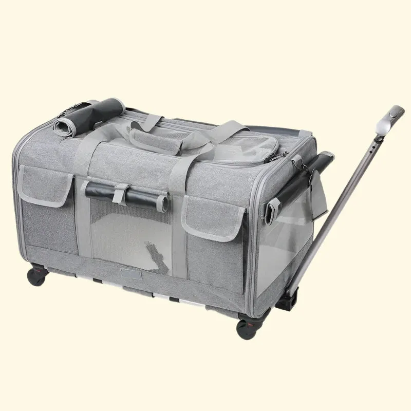 Cat Luggage
