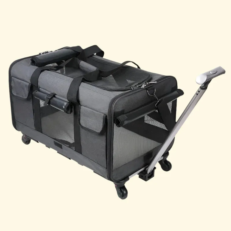 Cat Luggage
