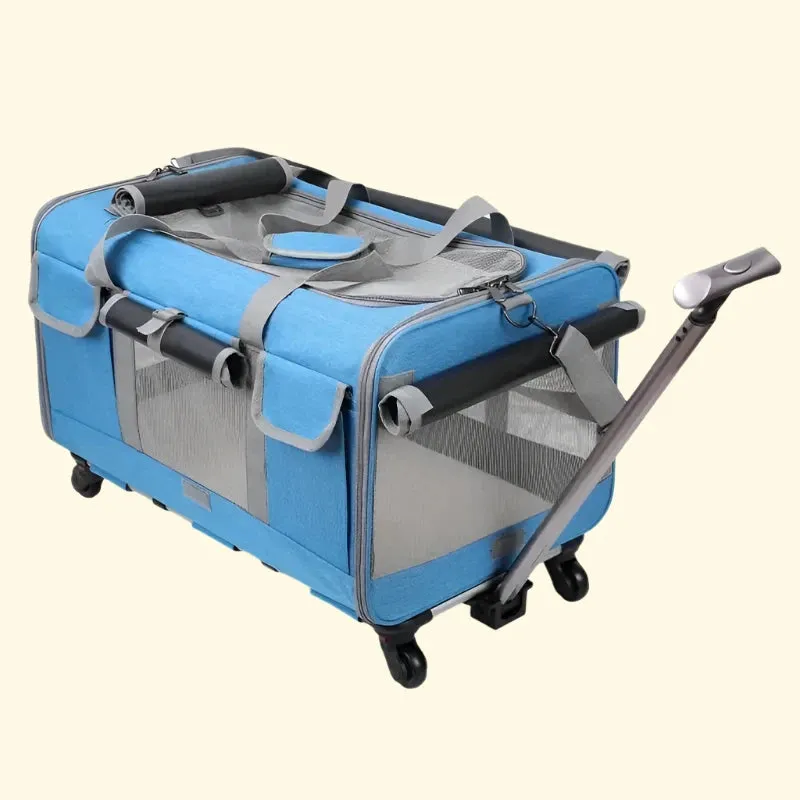 Cat Luggage