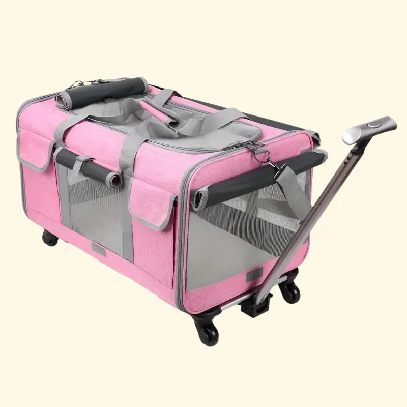 Cat Luggage