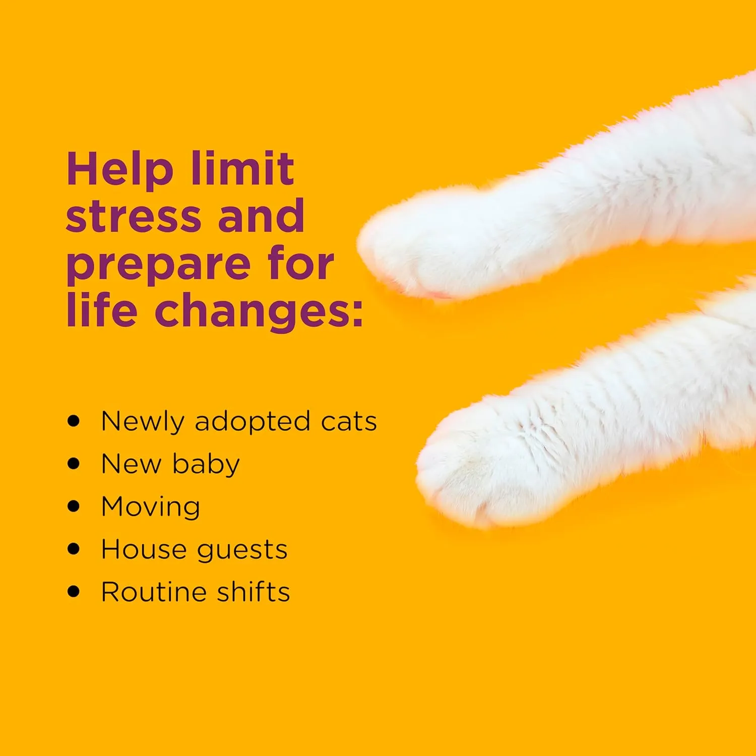 COMFORT ZONE Value Kit: 3 Cat Calming Diffusers & 6 Refills; Cat Pheromones Help Anxiety; Reduce Stress, Urine Marking, Scratching