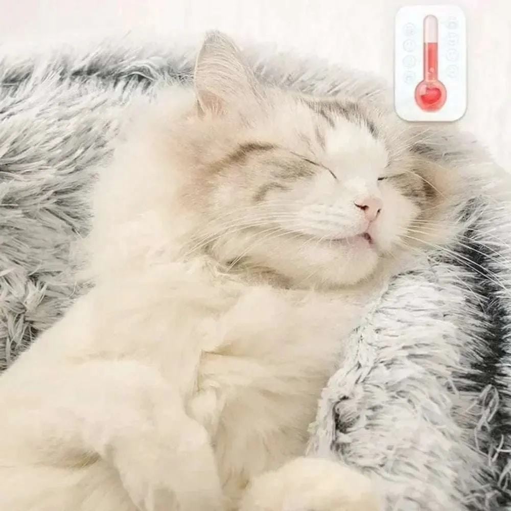Cosy Plush Cat Cushion - Comfortable Resting Place for Cats
