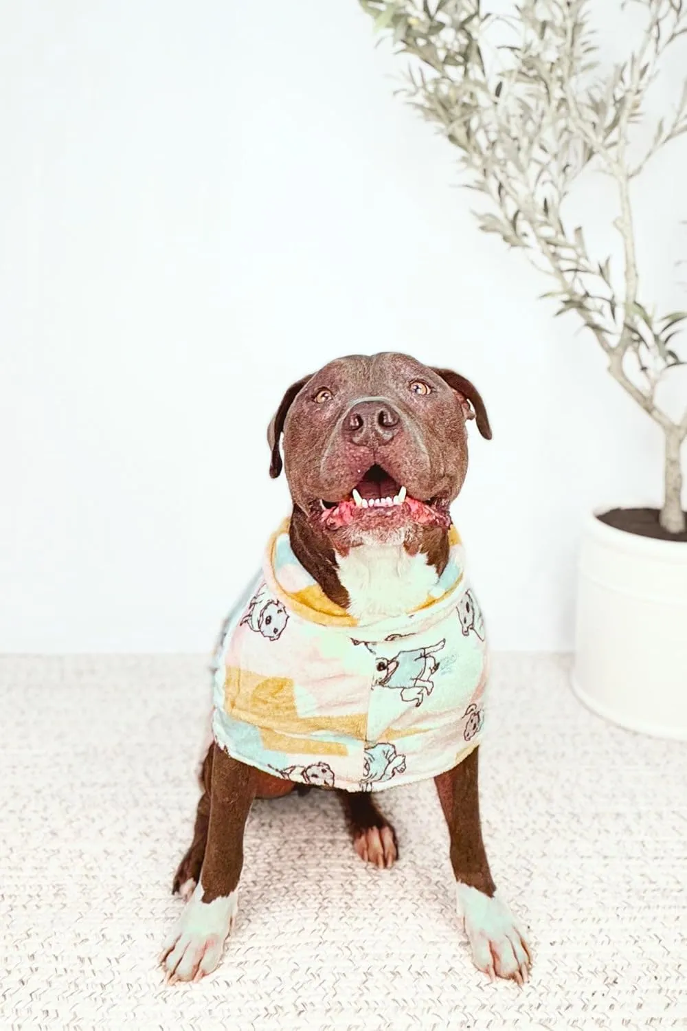 Darren & Phillip Snuggle Buddy Calming Dog Robe | Rescue Ranch Ultra-Soft, Plush Robe for Dogs, Cozy & Warm Pet Bathrobe with Adjustable Fit, Body Strap Calms Dogs, Matches Women's Plush Robe