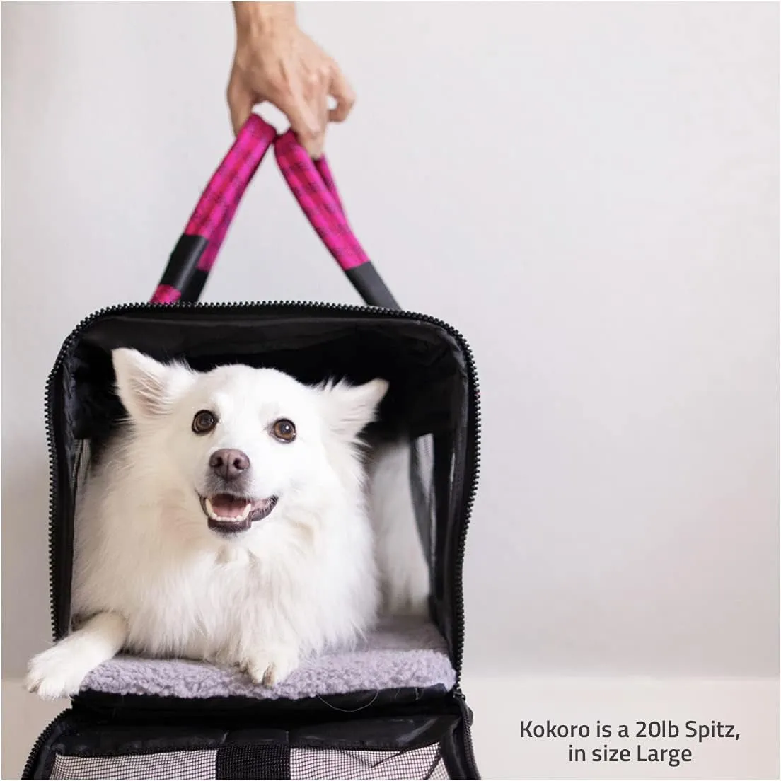 Expedited shipping Airline-Compliant Retro-inspired Pet Carrier.
