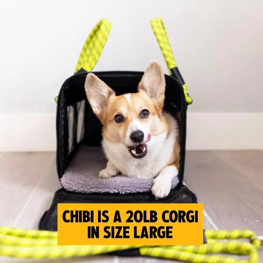 Expedited shipping Airline-Compliant Retro-inspired Pet Carrier.