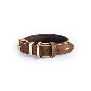 EZYDOG Oxford Leather Collar