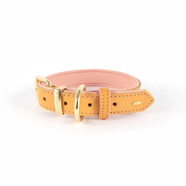 EZYDOG Oxford Leather Collar