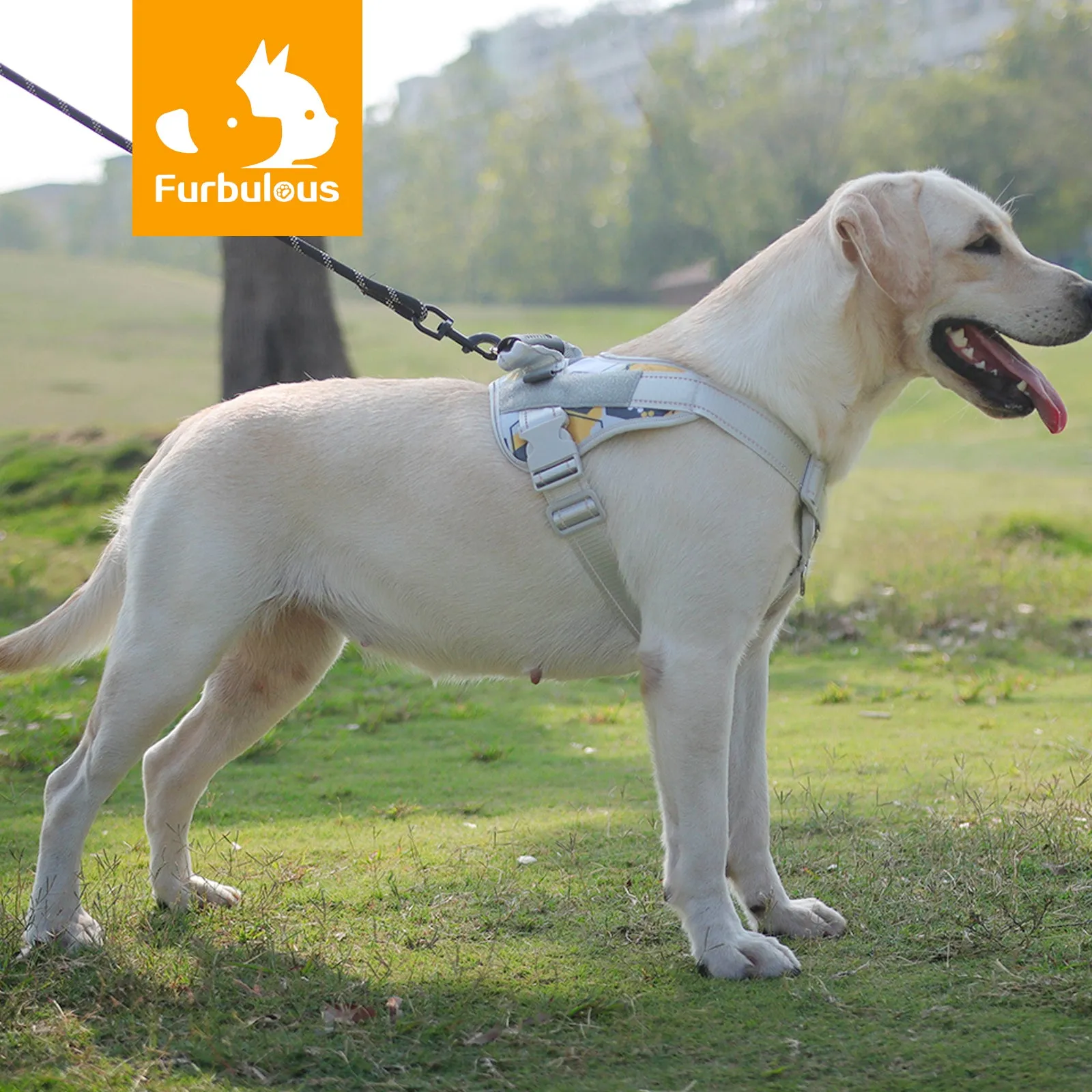 Furbulous No Pull Dog Harness Adjustable Pet Harness Reflective Explosion-proof Shock Dog Harness with 1.5m Lead