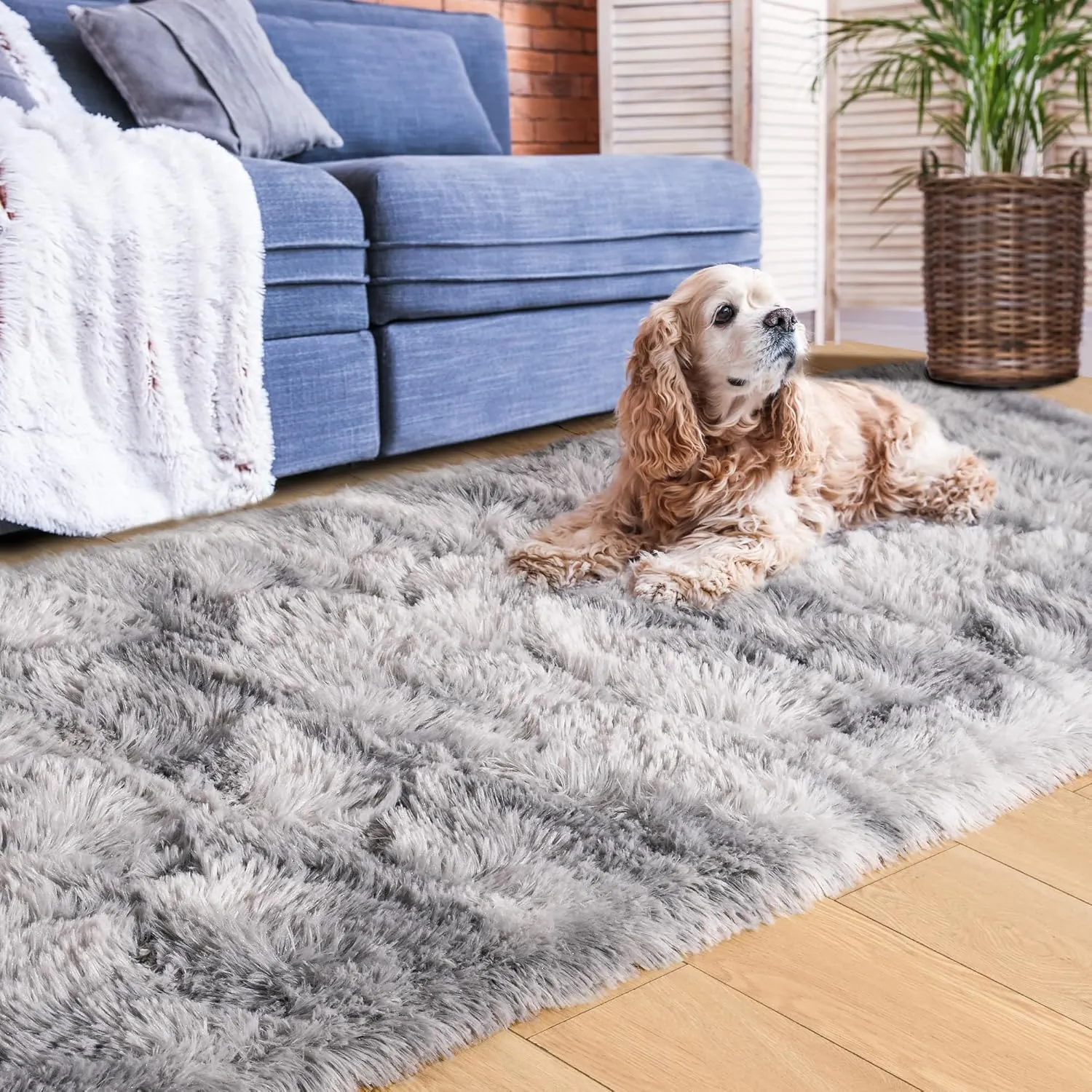 ISEAU Runner Rug for Bedroom, 2x6 Feet Shag Area Rug with Upgrade Non Slip, Light Grey Fluffy Carpet Runner for Hallway, Fuzzy Soft Living Room Rugs for Kids Boys Bedroom Decor