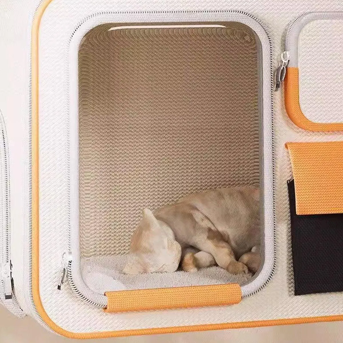 Large Capacity Cat Dog Backpack Outdoor Portable Pet Carrier Canvas Travel Bag