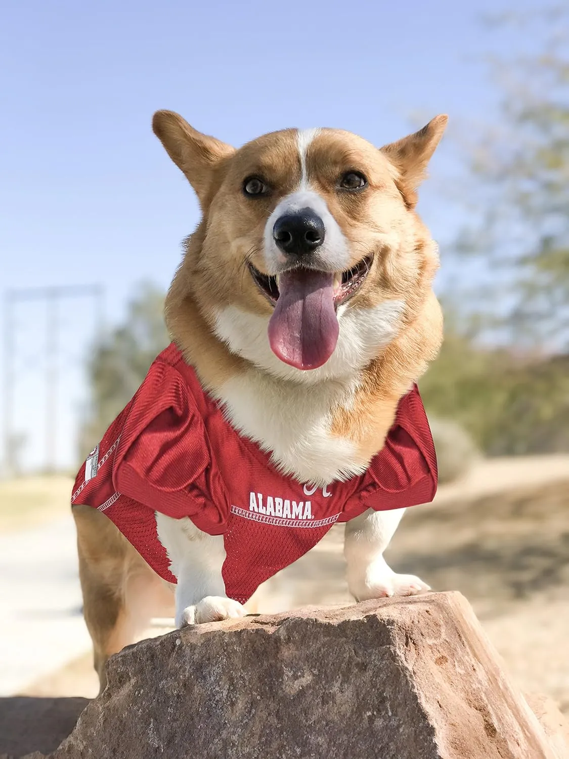 NCAA College Alabama Crimson Tide Mesh Jersey for Dogs & Cats, XXX-Large. Licensed Big Dog Jersey with Your Favorite Football/Basketball College Team