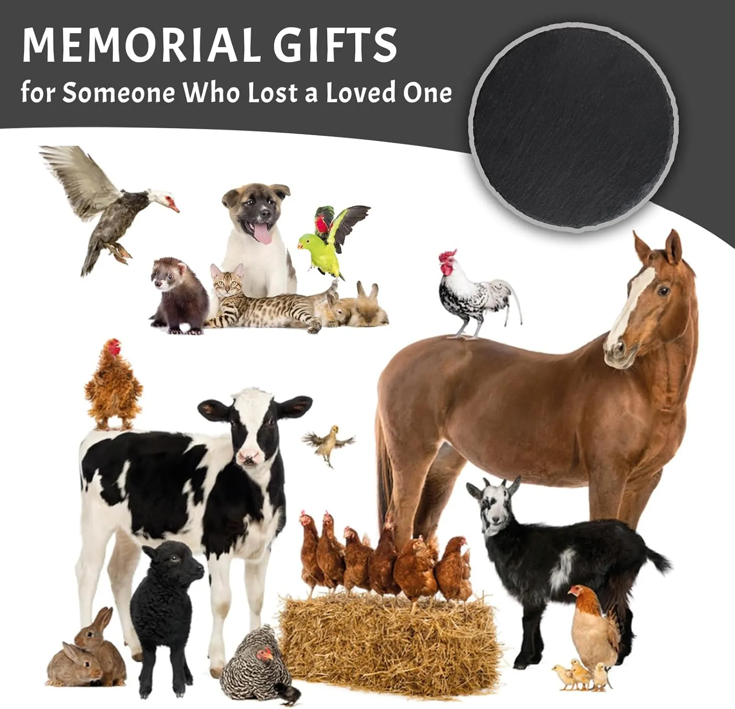 Personalized Pet Memorial Gifts for Loss of Squirrel, Custom Pet Squirrel Memorial Stones with Photo, Pet Squirrel Sympathy Gifts, Pet Memorial Stones for Squirrel, Pet Memory Gifts for Squirrel