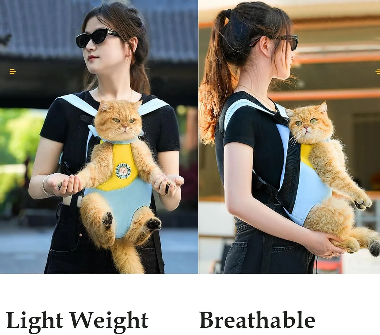 Pet Legs Out Carrier Backpack, Dog Cat Front Backpack Ventilated Mesh Travel Back Pack with Safety Belt for Travel Hiking Cycling Outdoor Use, Small Medium Puppy Large Cat Carrying Bag, Blue