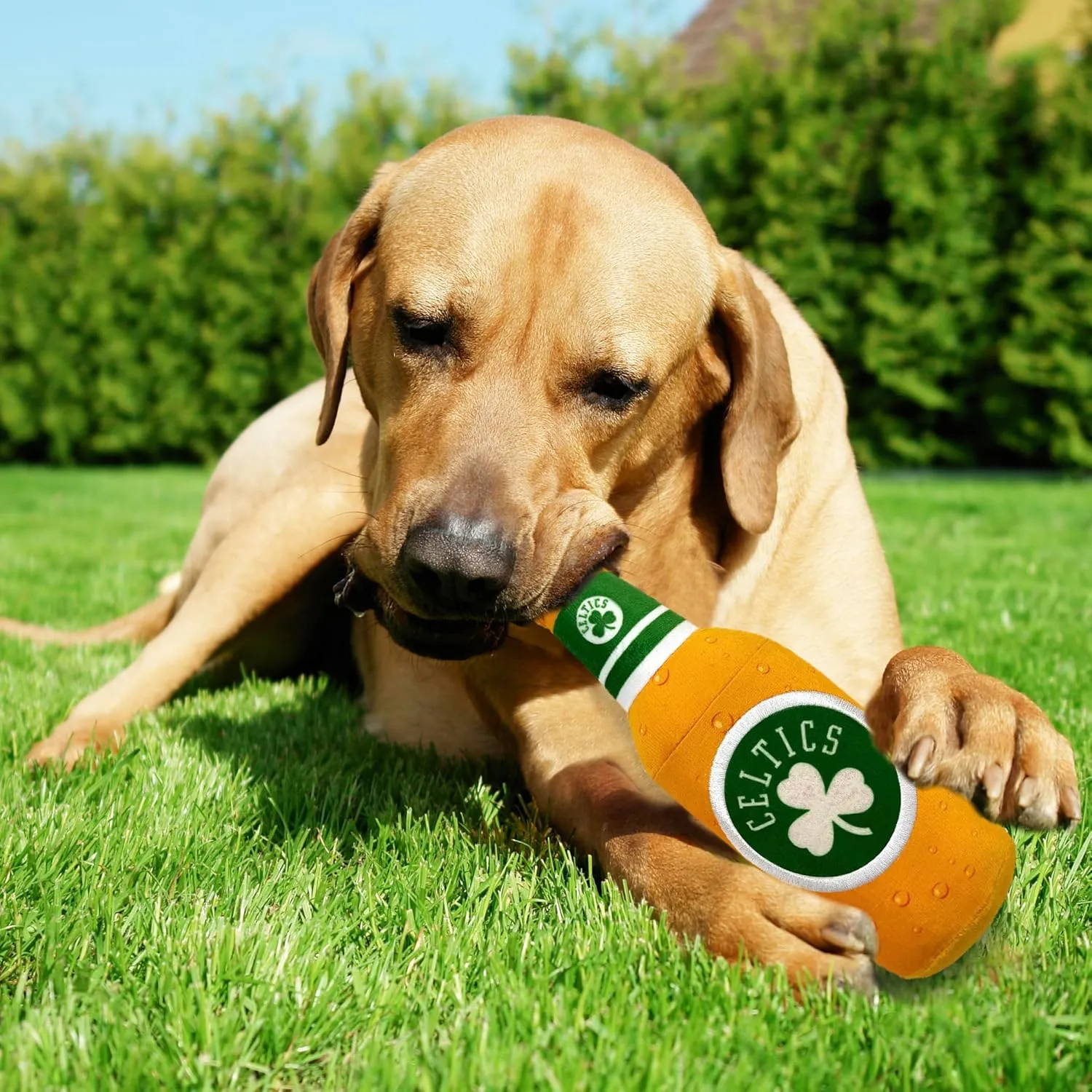Pets First NBA Boston Celtics Beer Bottle Plush Dog & CAT Squeak Toy - Cutest Stadium SODA Bottle Snack Plush Toy for Dogs & Cats with Inner Squeaker & Beautiful Basketball Team Name/Logo