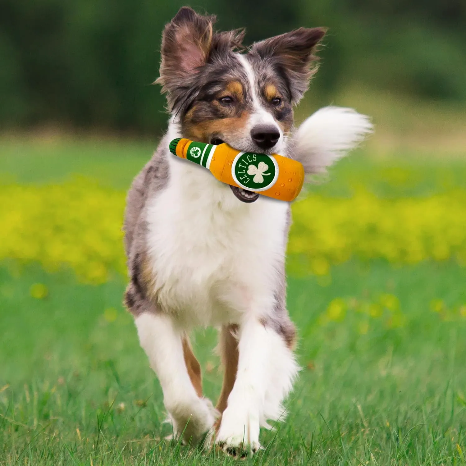 Pets First NBA Boston Celtics Beer Bottle Plush Dog & CAT Squeak Toy - Cutest Stadium SODA Bottle Snack Plush Toy for Dogs & Cats with Inner Squeaker & Beautiful Basketball Team Name/Logo