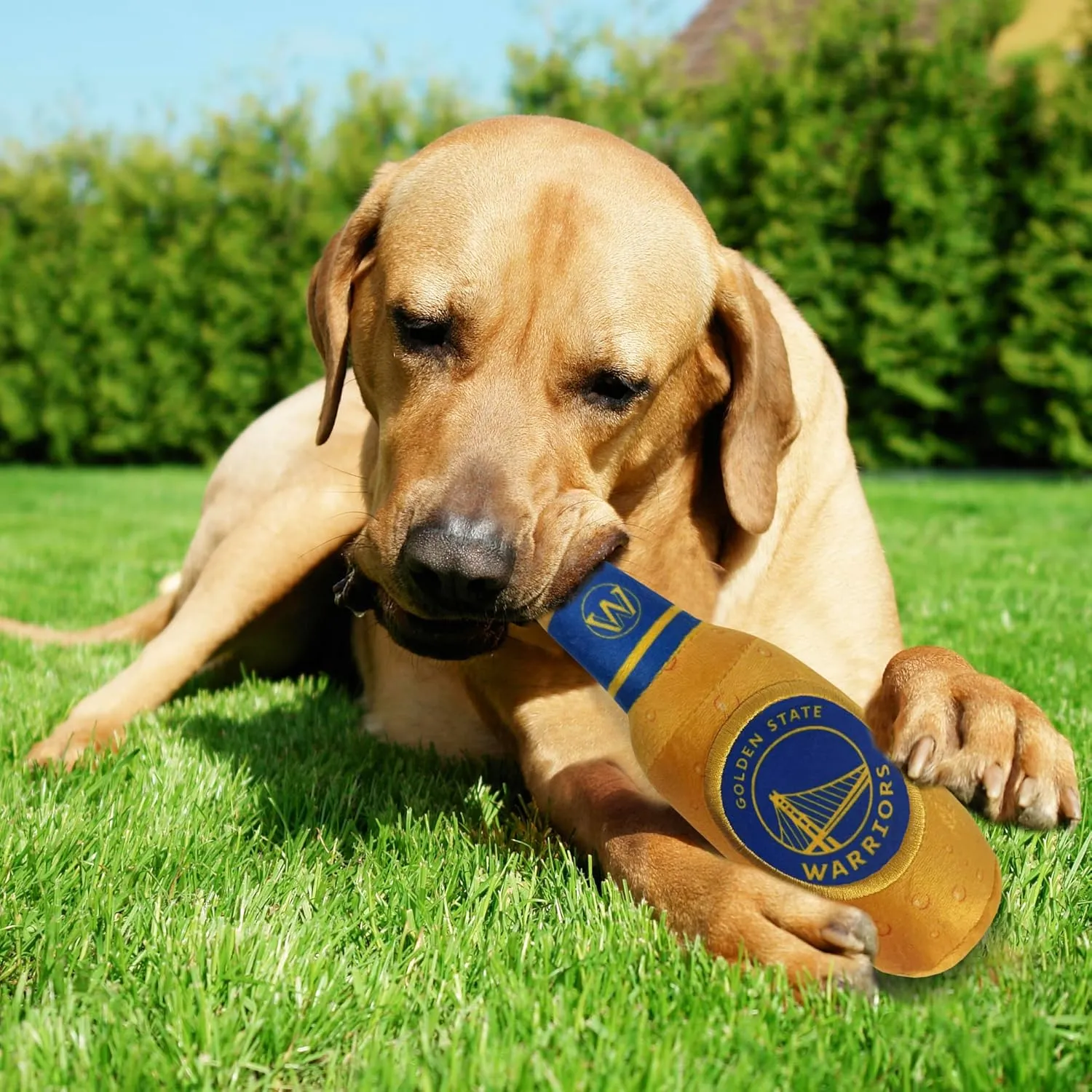 Pets First NBA Golden State Warriors Beer Bottle Plush Dog & CAT Squeak Toy - Cutest Stadium SODA Bottle Snack Plush Toy for Dogs & Cats with Inner Squeaker & Beautiful Basketball Team Name/Logo