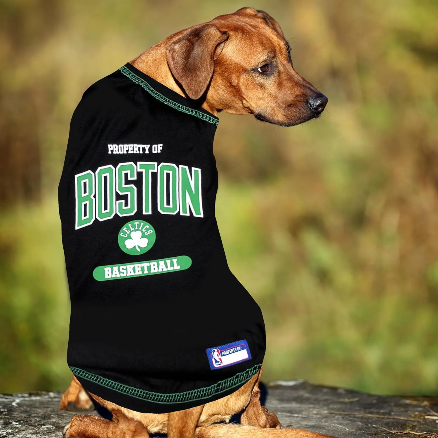 Pets First NBA Licensed Hoodies & T-shirt for Dogs & Cats, Boston Celtics, Small