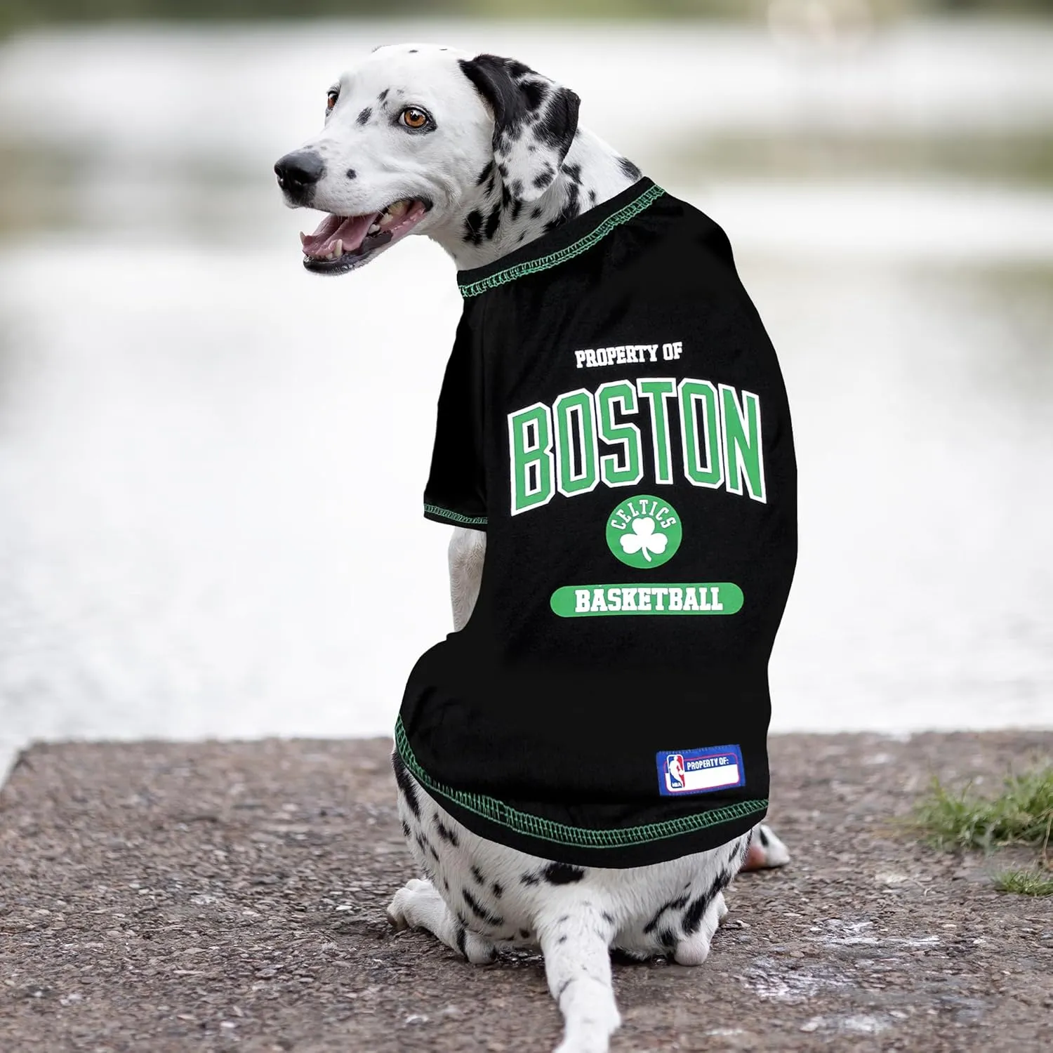 Pets First NBA Licensed Hoodies & T-shirt for Dogs & Cats, Boston Celtics, Small