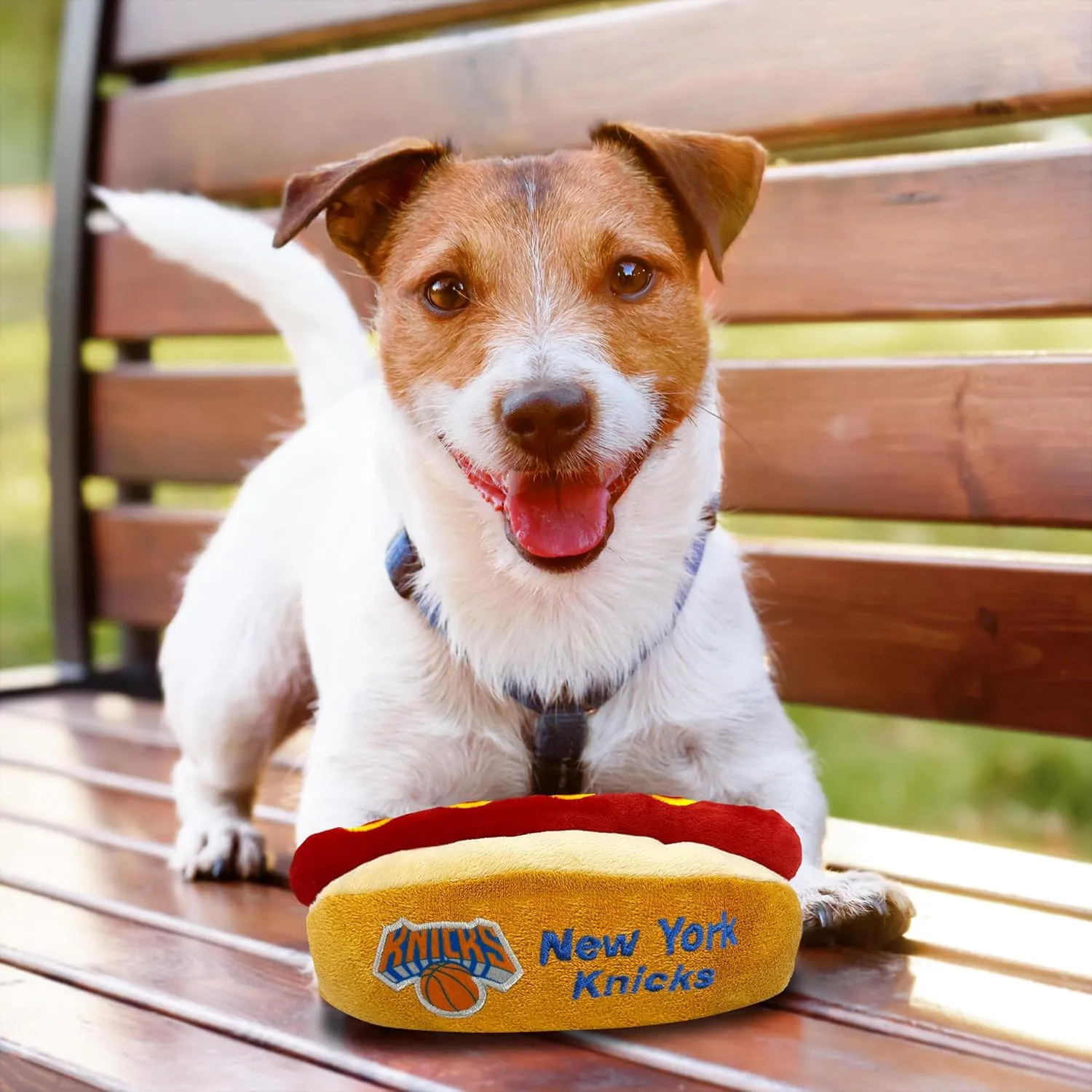 Pets First NBA New York Knicks HOT Dog Plush Dog & CAT Squeak Toy - Cutest HOT-Dog Snack Plush Toy for Dogs & Cats with Inner Squeaker & Beautiful Basketball Team Name/Logo 8 x 5 x 3 Inches