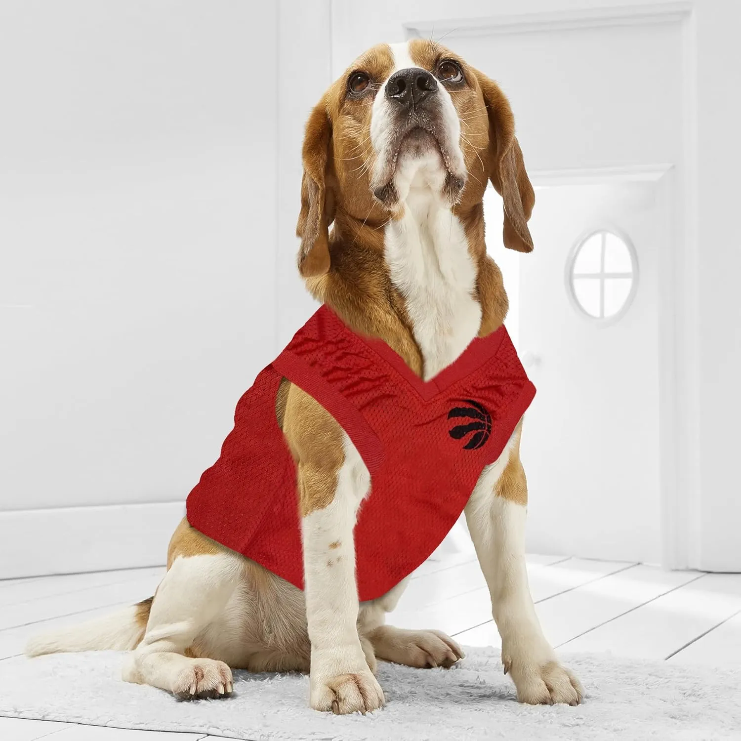 Pets First NBA Toronto Raptors Dog Jersey, Large - Tank Top Basketball Pet Jersey (RAP-4047-LG)