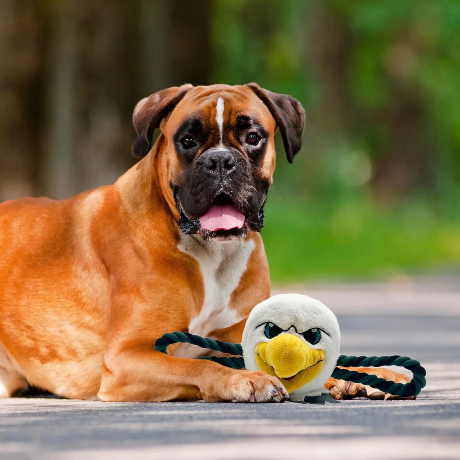 Pets First NFL Mascot Toy for Dogs & Cats. Cute & Entertaining Face with Heavy-Duty Ropes & Chewy 7" Toy with Inner Squeaker