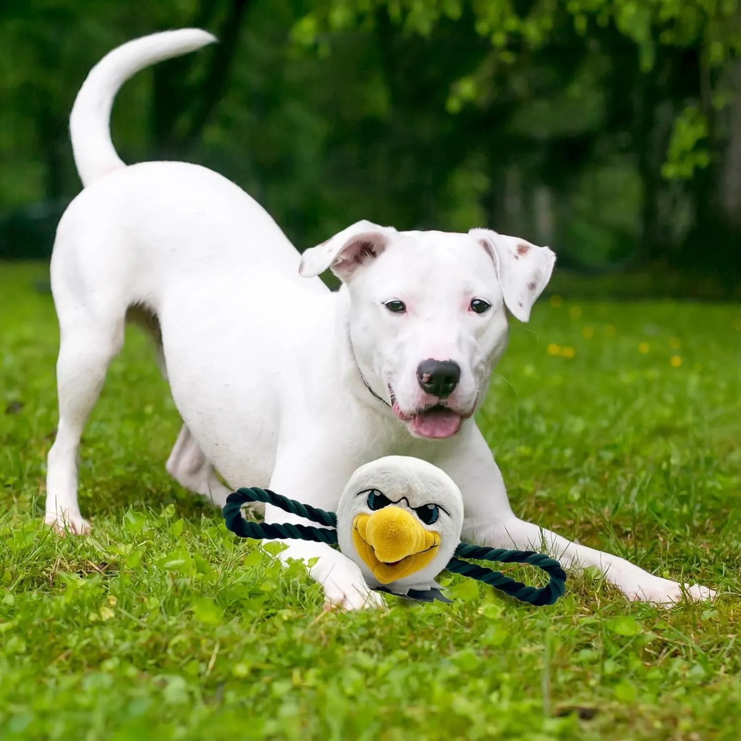 Pets First NFL Mascot Toy for Dogs & Cats. Cute & Entertaining Face with Heavy-Duty Ropes & Chewy 7" Toy with Inner Squeaker