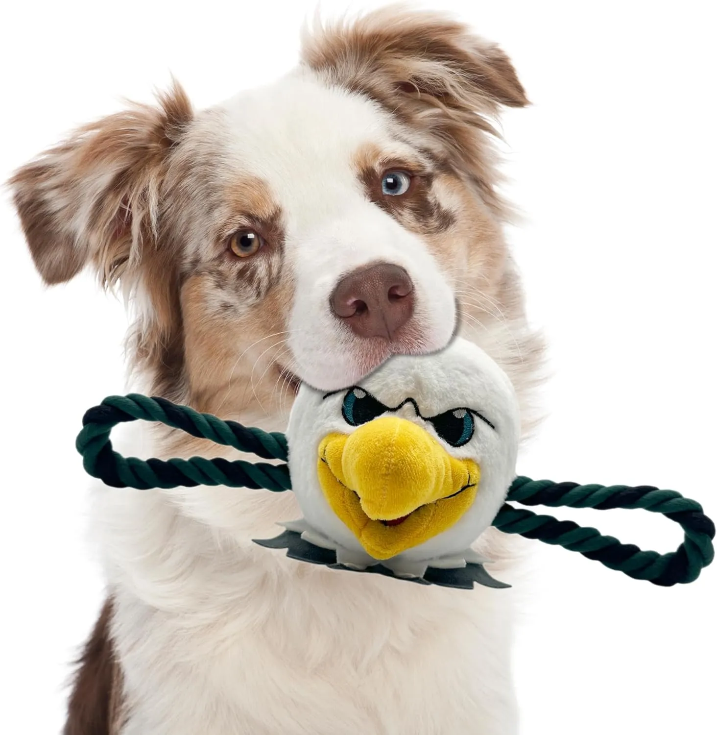 Pets First NFL Mascot Toy for Dogs & Cats. Cute & Entertaining Face with Heavy-Duty Ropes & Chewy 7" Toy with Inner Squeaker