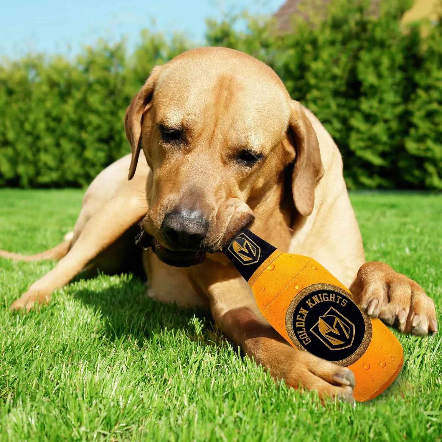 Pets First NHL Las Vegas Golden Knights Beer Bottle Plush Dog & Cat Toy- Cutest Stadium SODA Bottle Snack Plush Toy for Dogs & Cats with Inner Squeaker & Beautiful Hockey Team/Logo
