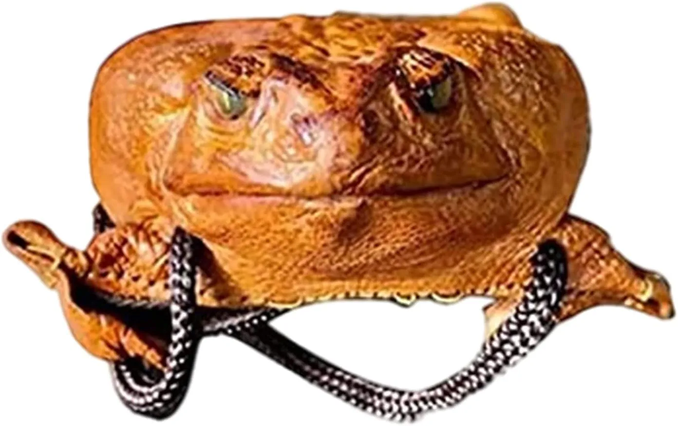 RAY'S Sugar Cane Toad Full-Body Purse, Animal Purse Coin Holder, Coin Pouch Toad Full Body Wallet for Home Decoration Storage Valentine's Day Gift, ZSLDZSWSH