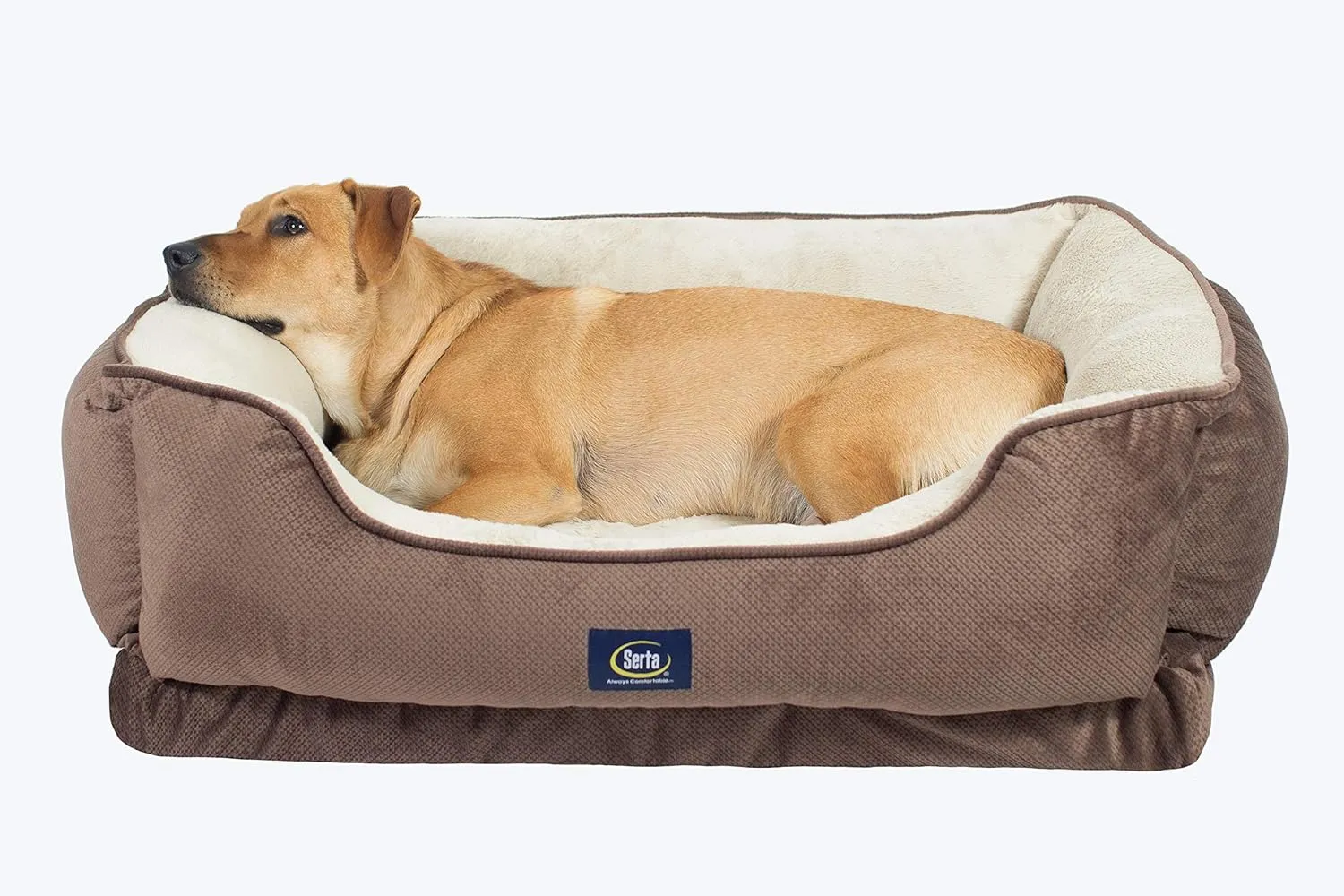 Serta Ortho Cuddler Pet Bed, Extra Large, Mocha