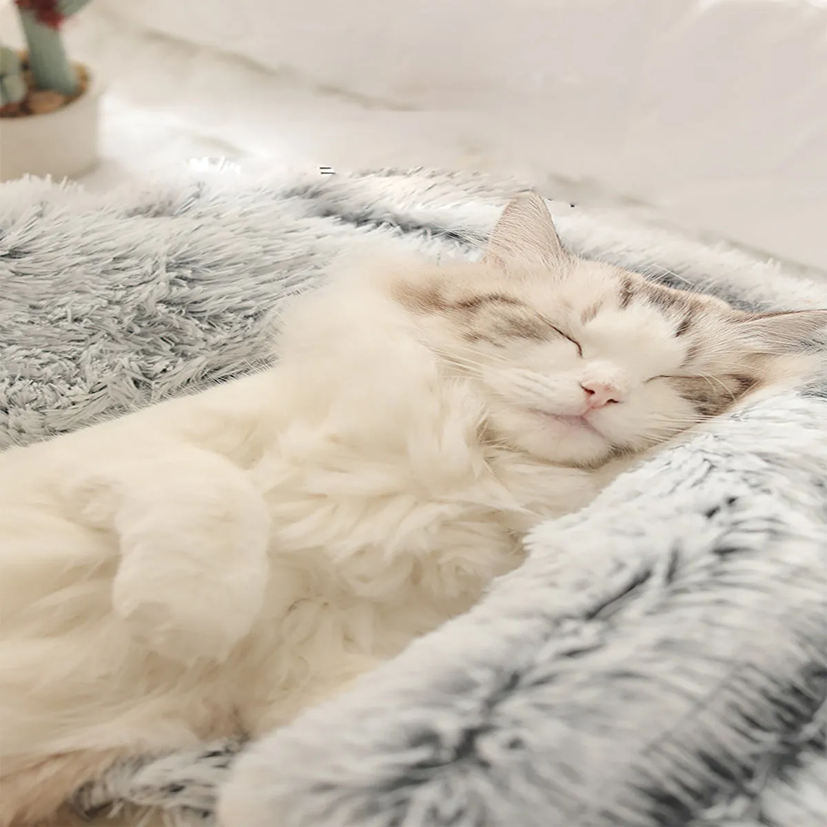 Snugpaws - Comfort for your pet's recovery