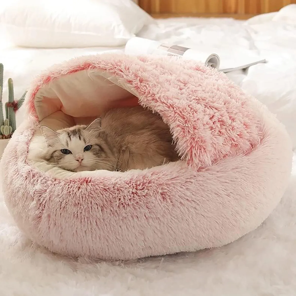 Snugpaws - Comfort for your pet's recovery