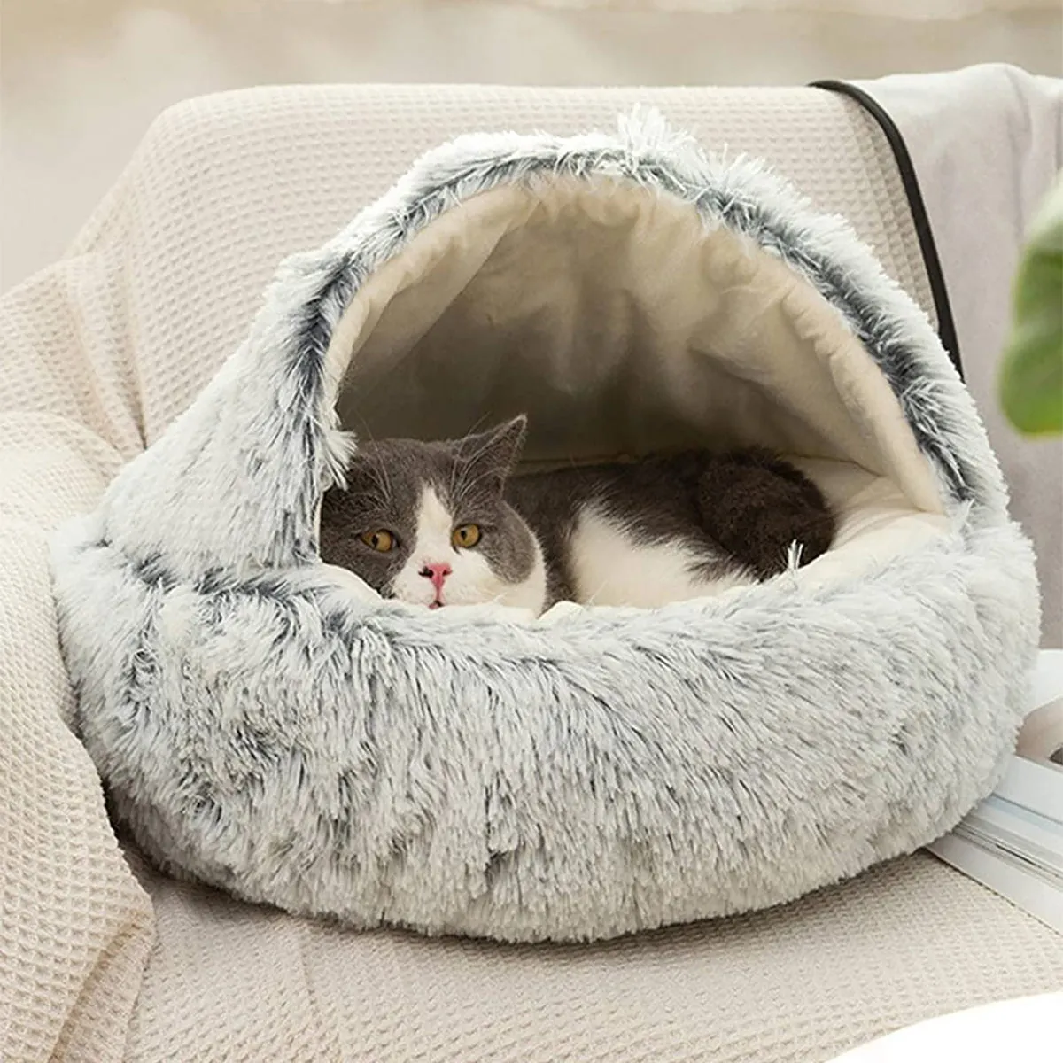 Snugpaws - Comfort for your pet's recovery