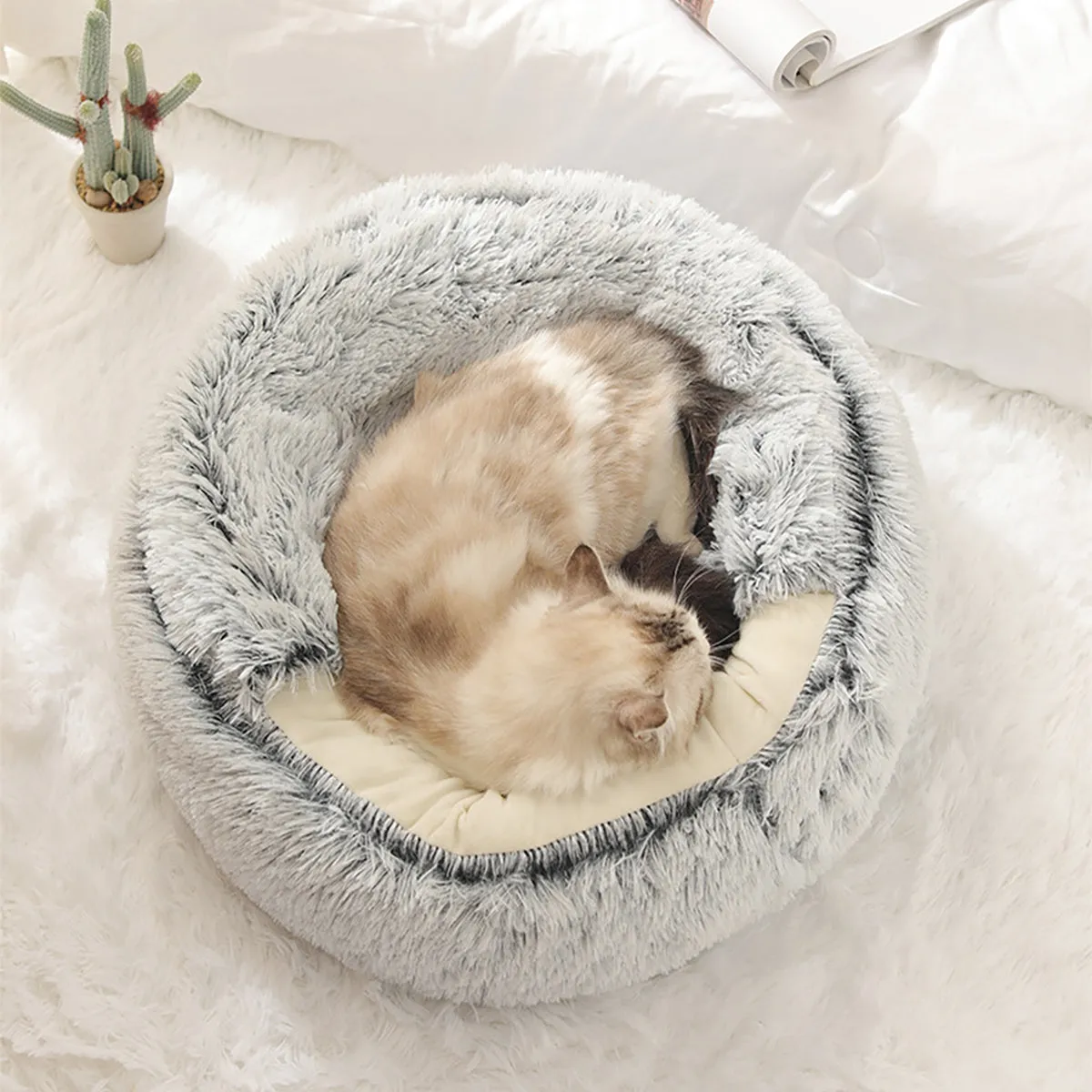 Snugpaws - Comfort for your pet's recovery