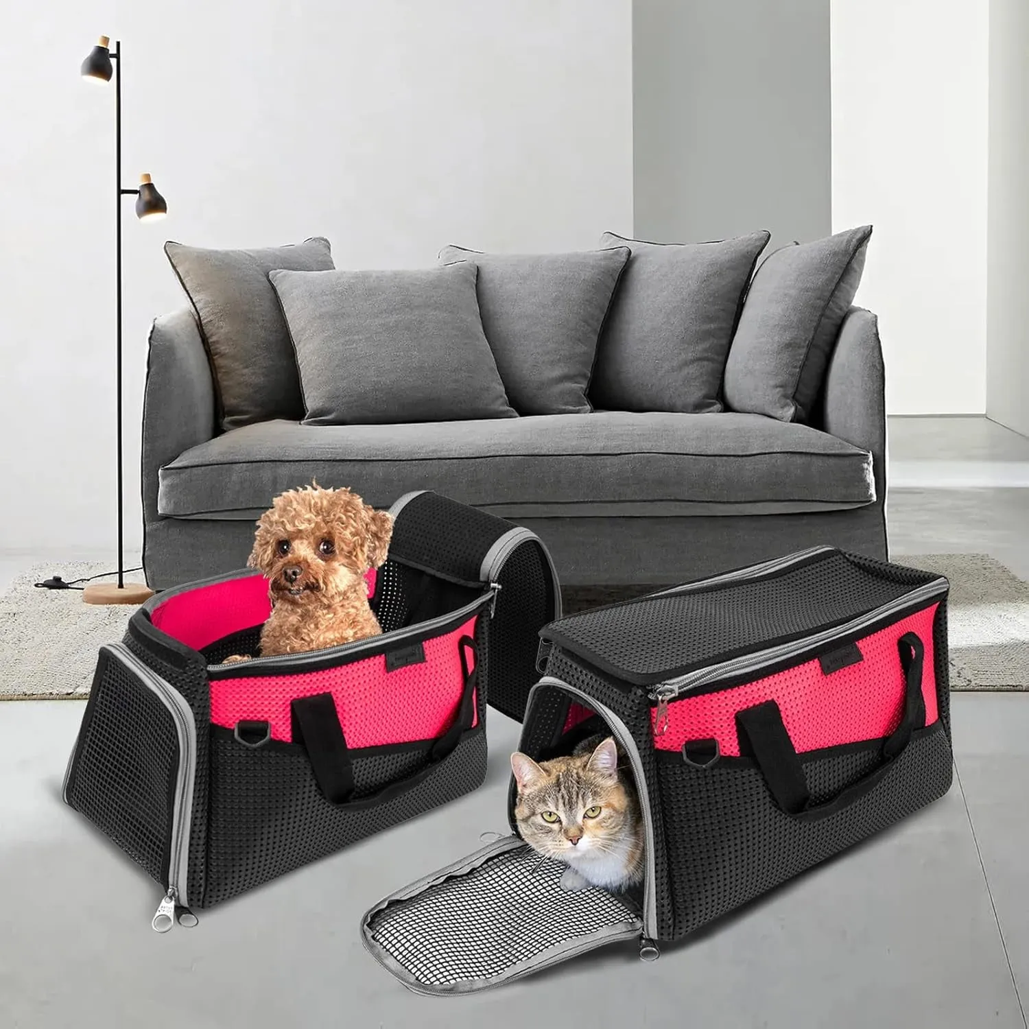 Special edition Cat Dog Carrier. Carriers and Privacy-focused